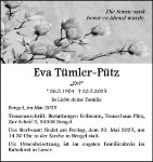 eine Anzeige